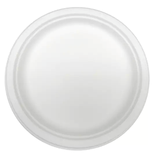 PKG RITEEARTH 9" BAGASSE ROUND PLATES X 500