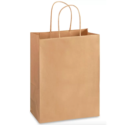 [000861] PKG KRAFT PAPER BAGS 14X10X16 WITH HANDLE X200